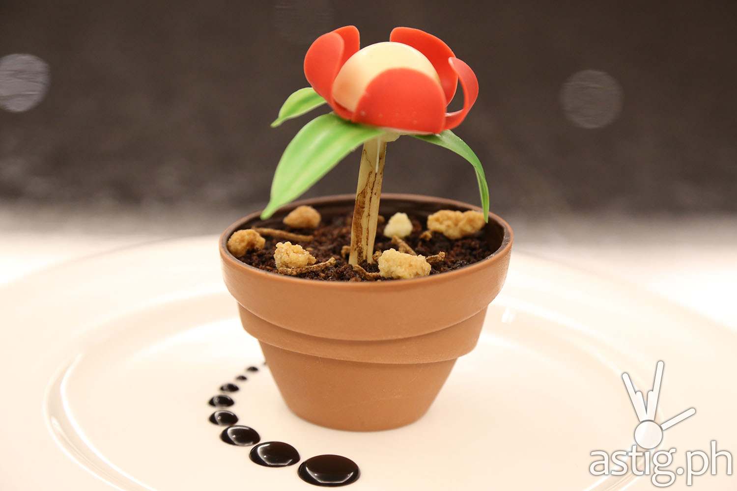Edible Flower Pot Cake for Earth hour at Marriott Manila
