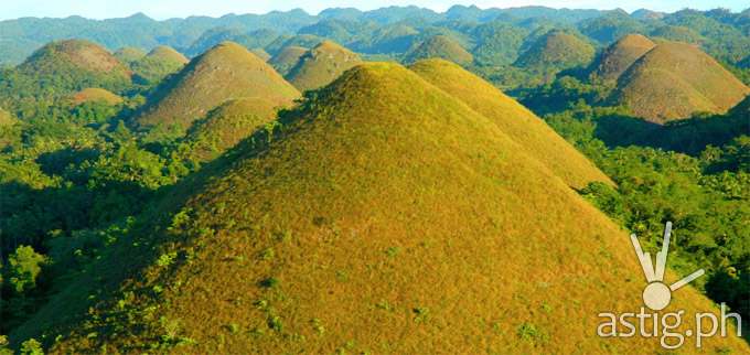 Bohol_Chocolate_Hills
