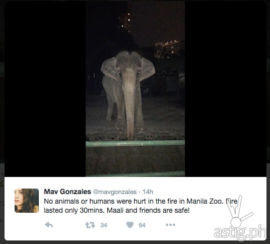 Screen Shot 2015-11-25 at 2.53.33 PM