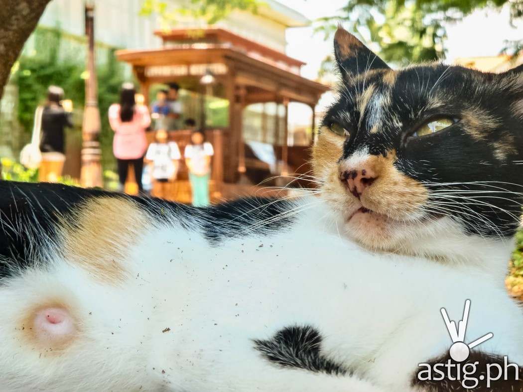 #SeeThePhilippinesUpClose photo taken at Las Casas with the ASUS ZenFone Zoom
