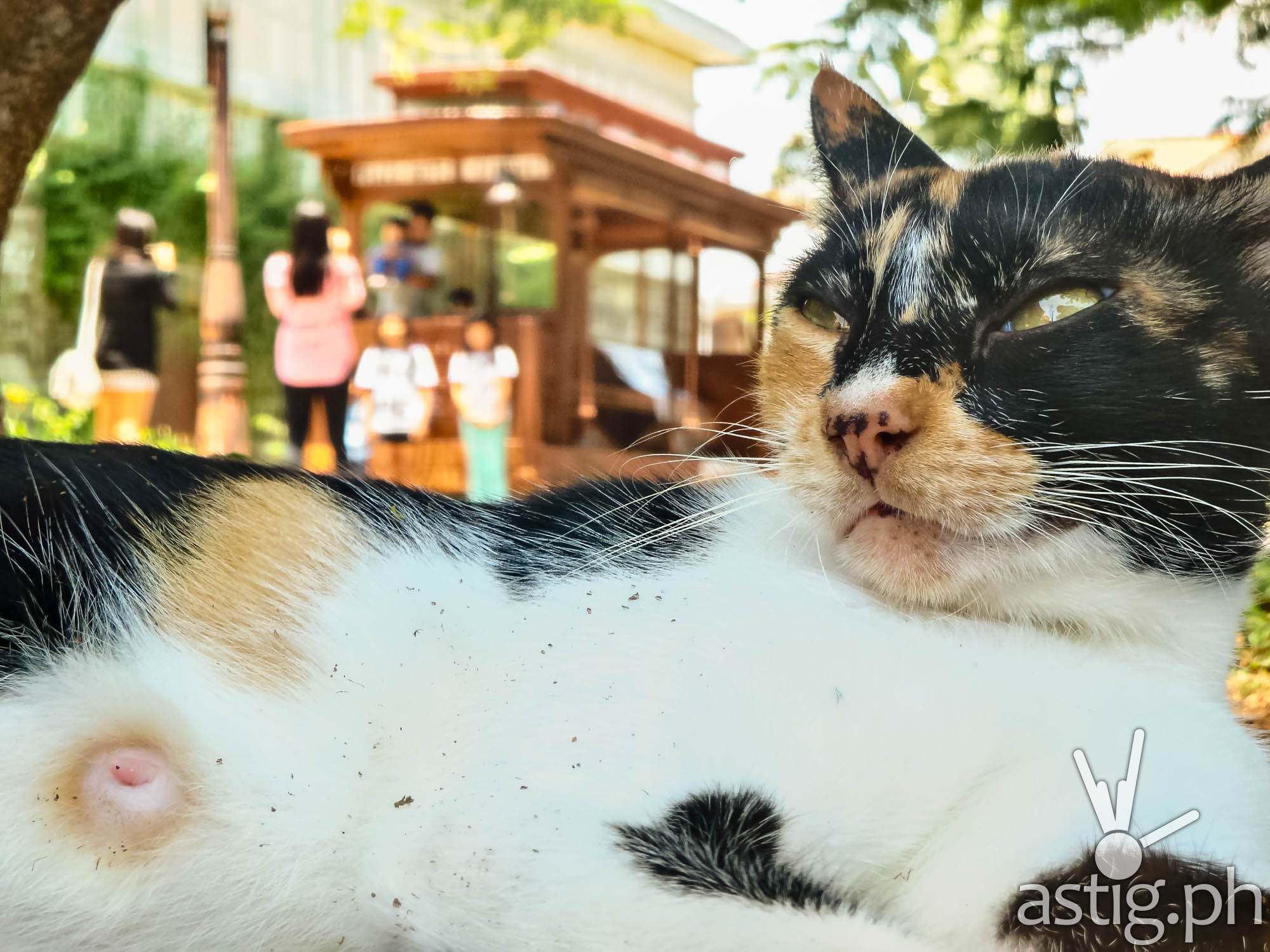 #SeeThePhilippinesUpClose photo taken at Las Casas with the ASUS ZenFone Zoom