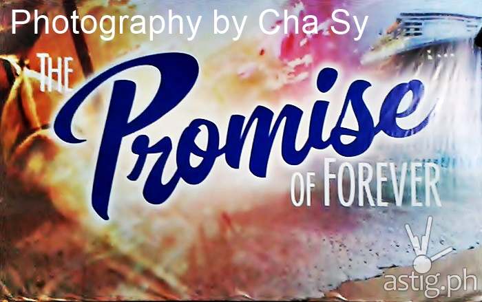 the promise of forever the promise of forever