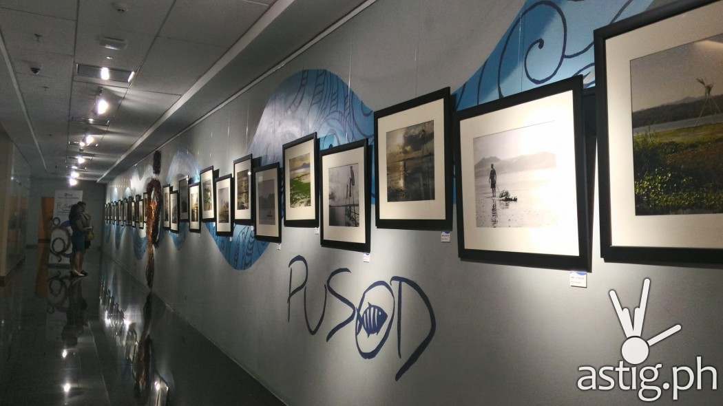 P_20160803_190832_HDR