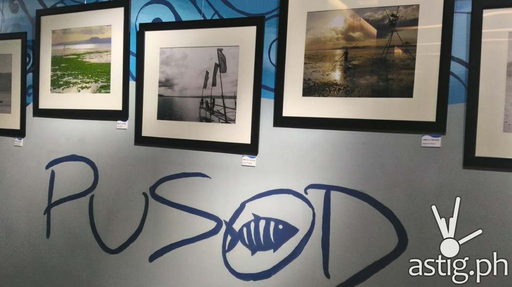 P_20160803_190842_HDR