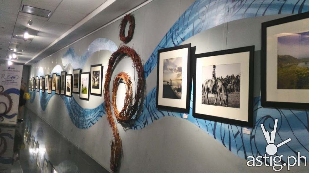 P_20160803_190850_HDR