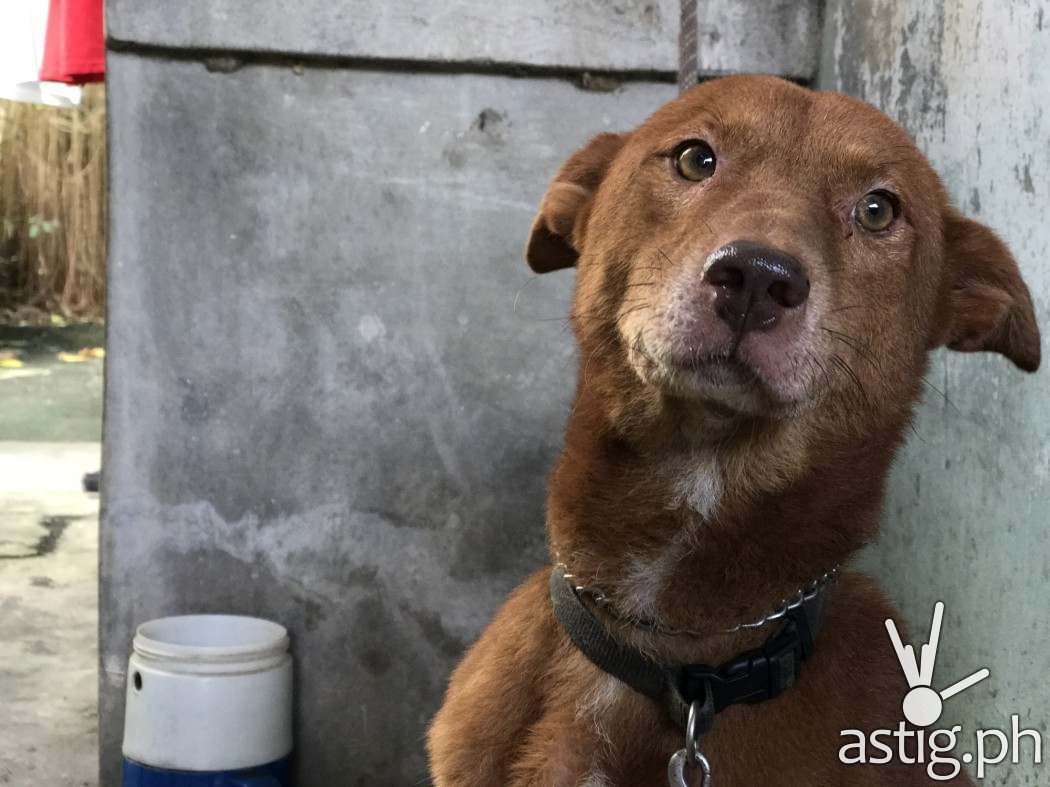 iPhone 7 Plus portrait mode off (unedited)