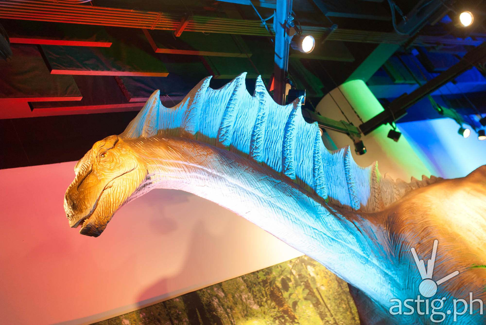 Amargasaurus - Dinosaurs Around The World exhibit - Mind Museum BGC