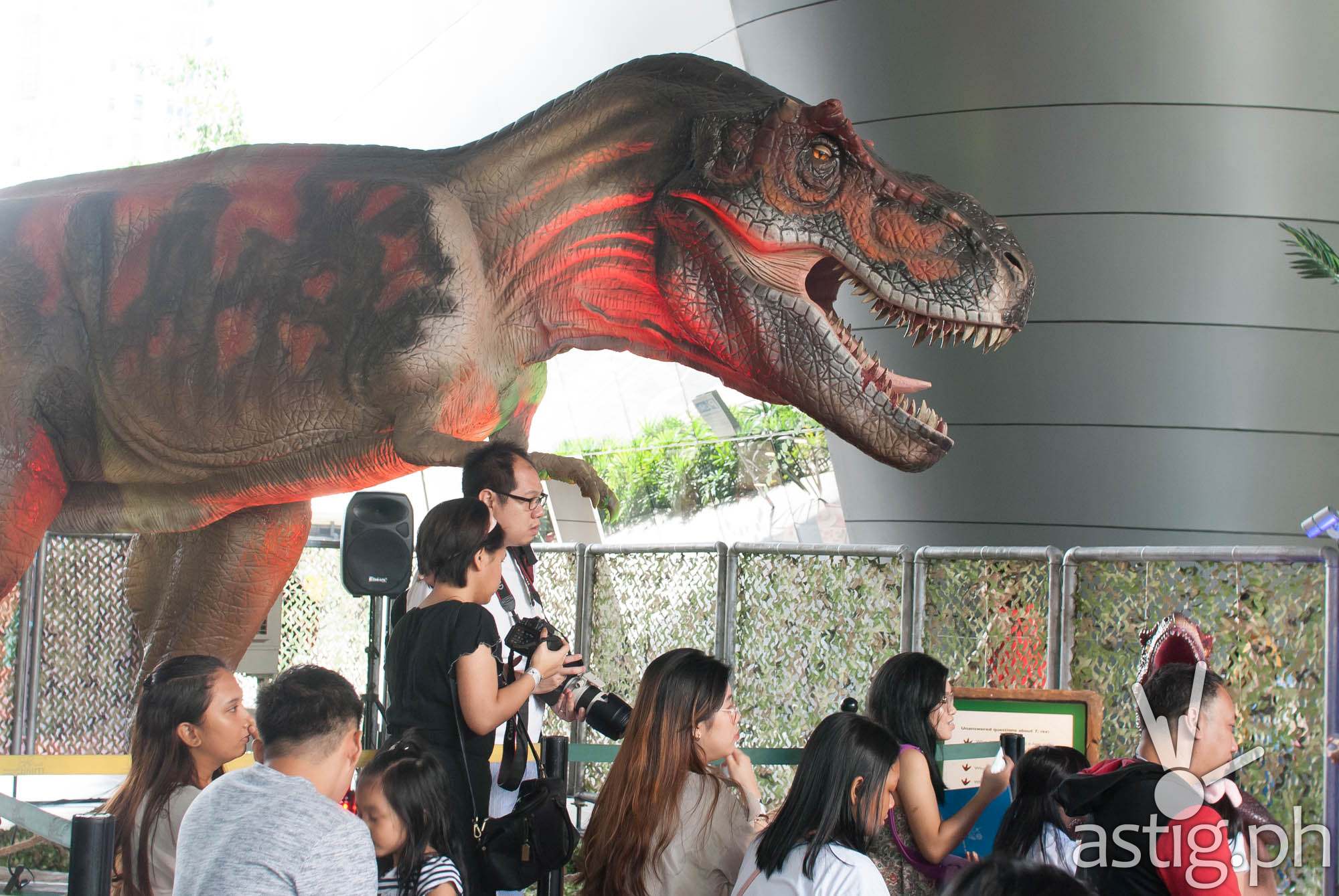 Tyrannosaurus Rex - Dinosaurs Around The World exhibit - Mind Museum BGC