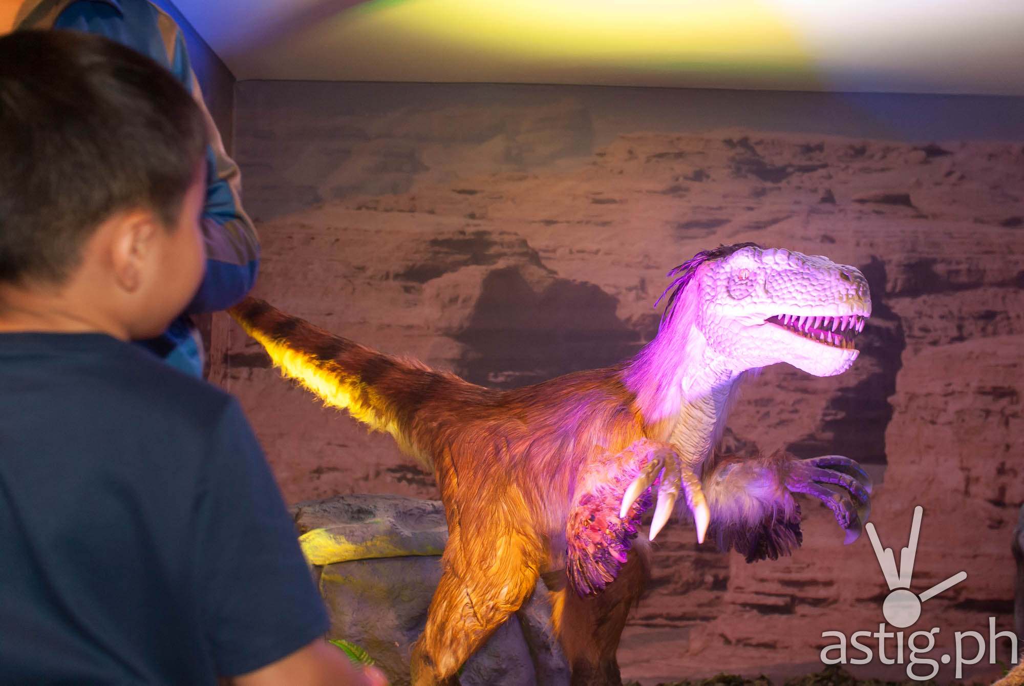 Velociraptor - Dinosaurs Around The World exhibit - Mind Museum BGC