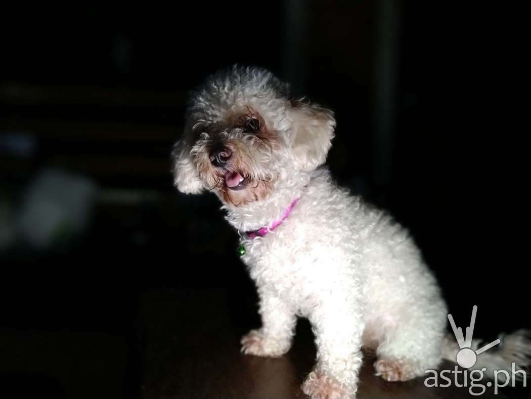 Artificial lighting - ASUS Zenfone Max Pro M1 sample photo