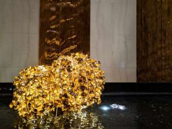 Zenfone Max Pro M2 photo sample - indoors