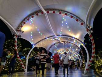 Zenfone Max Pro M2 photo sample - night shot (HDR)