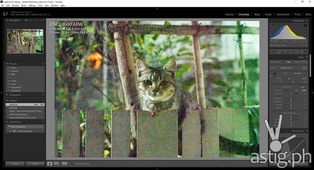 ISO 32000 shadow exposed - Sony A7R III (Philippines)