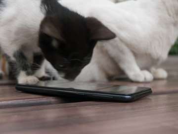 Samsung Galaxy M20 (Philippines)