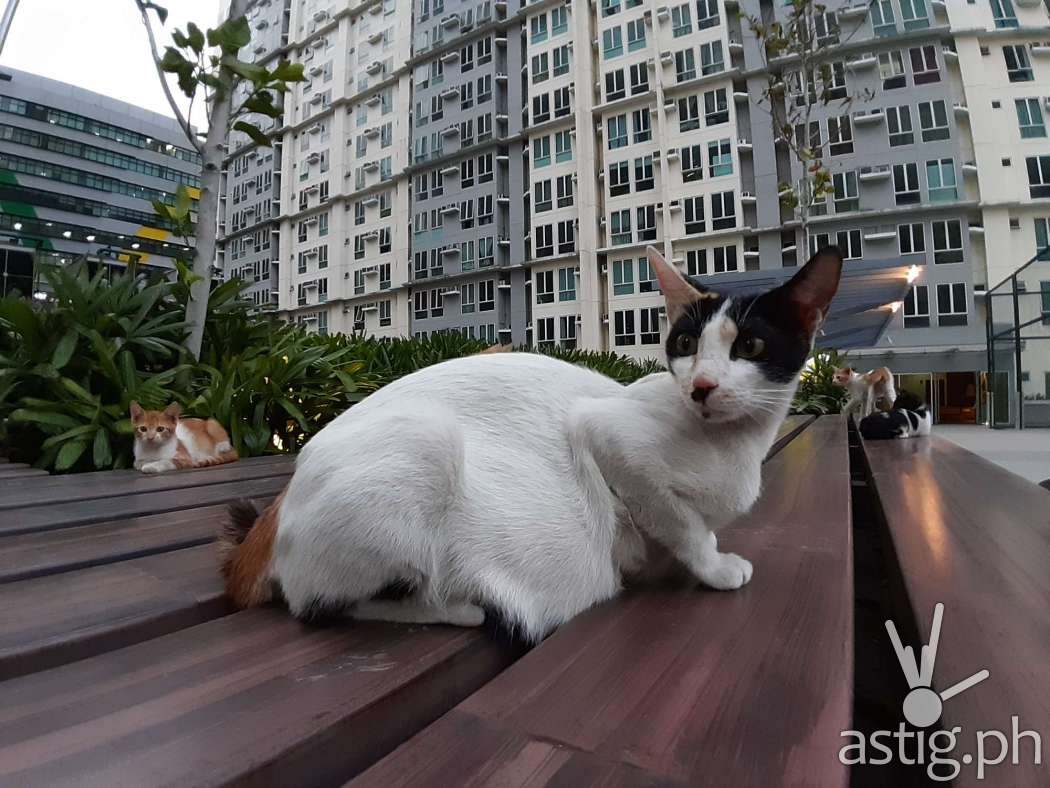 Outdoors sample photo (ultra-wide) - Samsung Galaxy M20