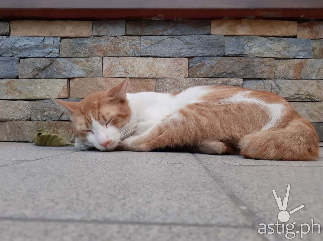 Outdoor sample photo - Samsung Galaxy M20