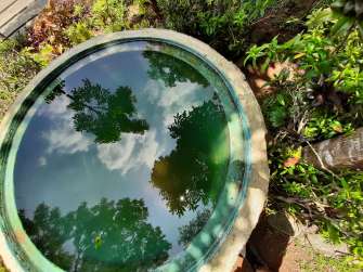 Sample photo - Samsung Galaxy A50