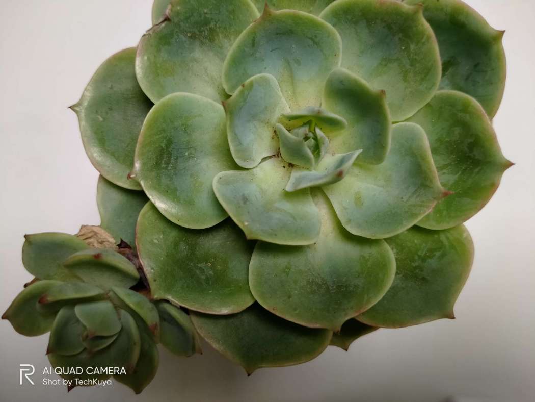 Indoor sample (main camera) - Realme 5i