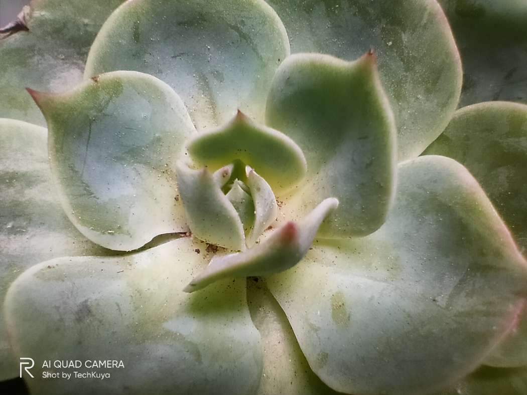 Macro (macro camera) - Realme 5i