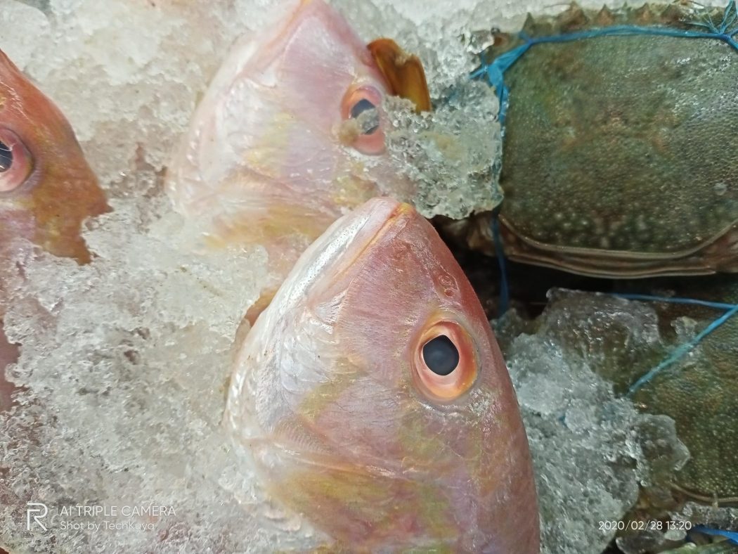 Indoors close-up artificial light - realme C3 sample photo (Philippines)