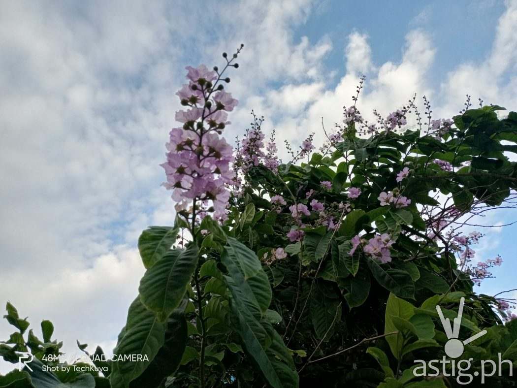 Against the light - realme 6i sample photo