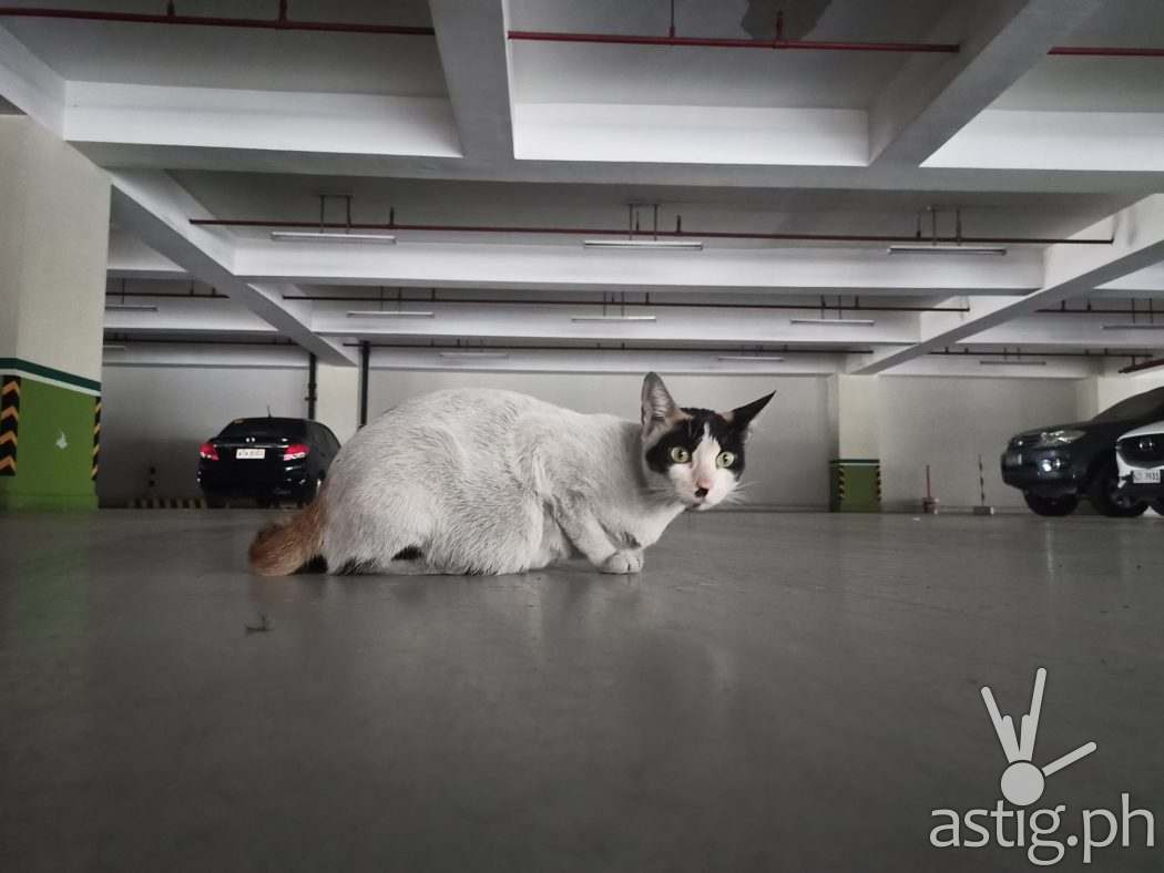 Low light indoors sample photo - Realme 6 (Philippines)