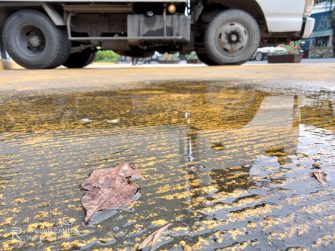 Outdoors (wide) sample photo - Realme C15