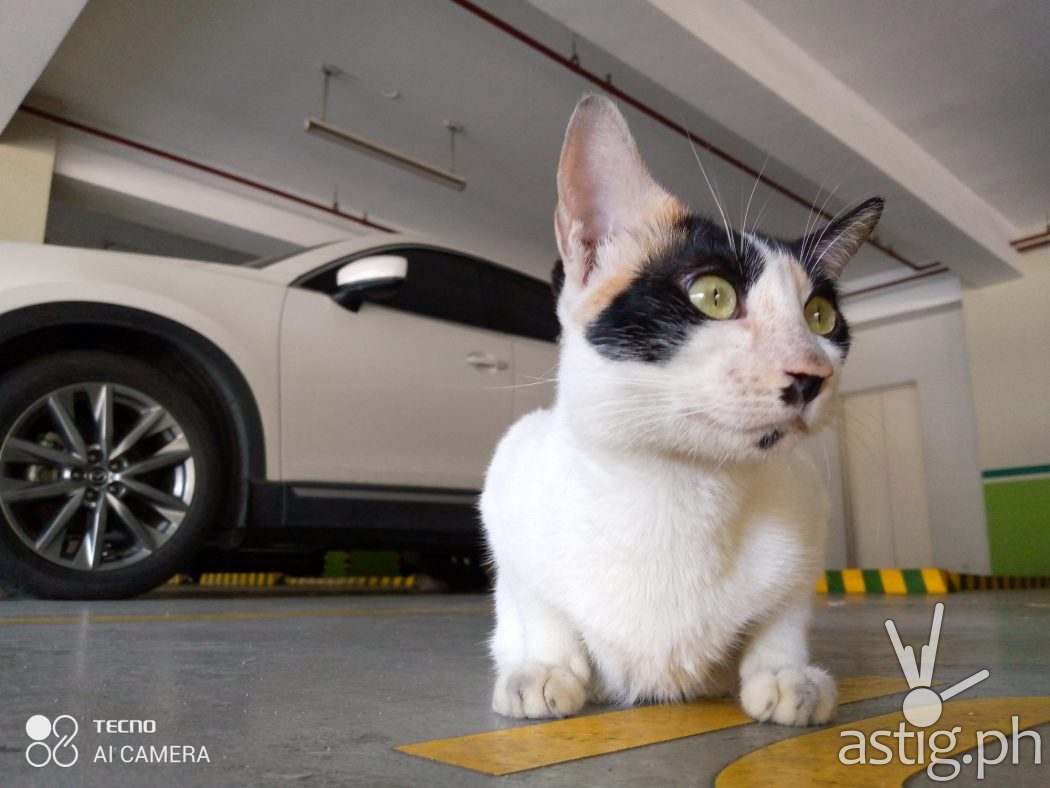 Indoor - TECNO Pouvoir 4 sample photo