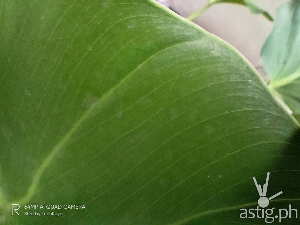 Macro leaf - realme 7i sample photo