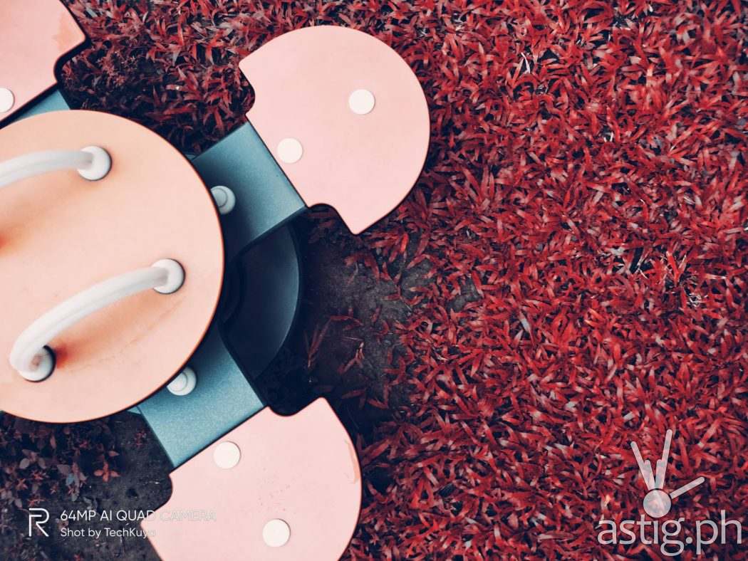 Outdoors Flamingo - realme 7i sample photo (2)