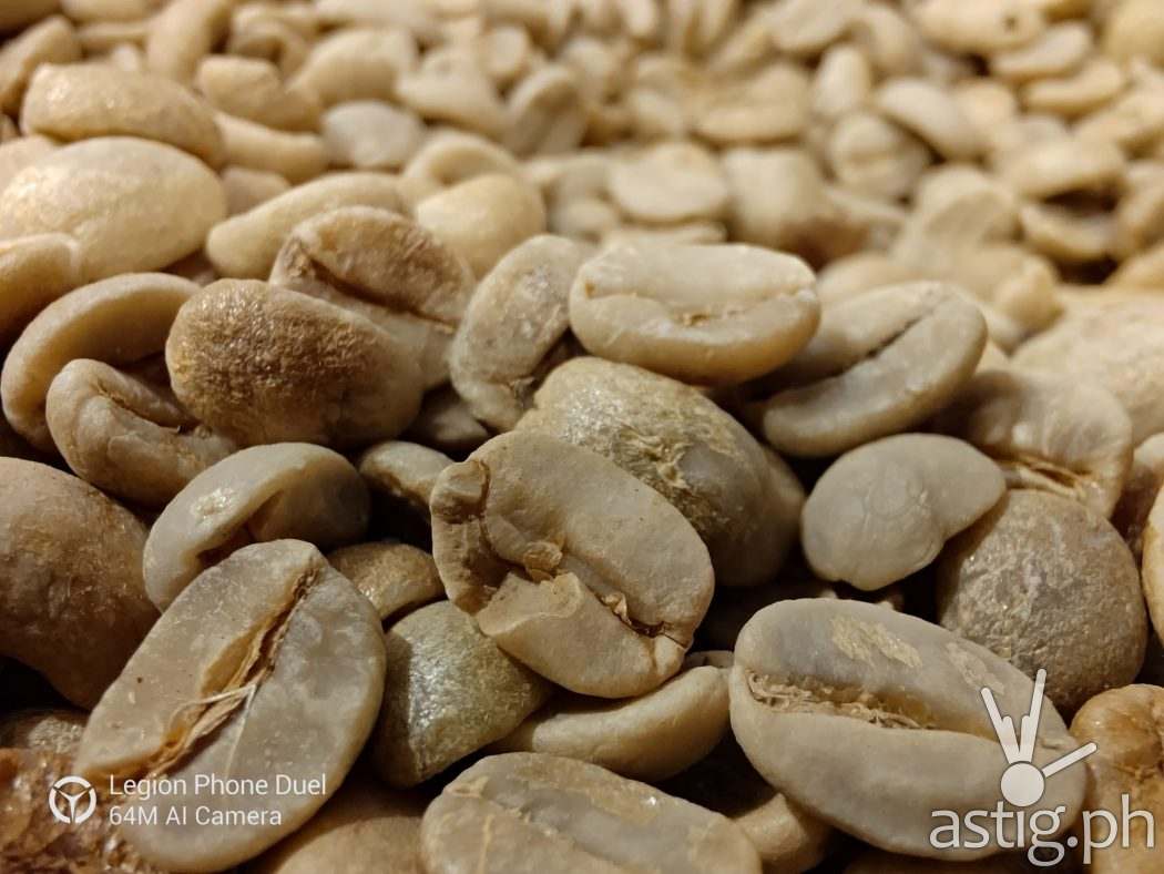 Coffee beans macro sample photo - Legion Phone Duel (Philippines)