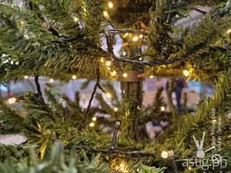 Indoor zoom sample photo - Legion Phone Duel (Philippines)