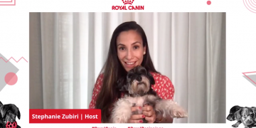 Royal Canin Puppy Webinar - Steph Zubiri and Pepper