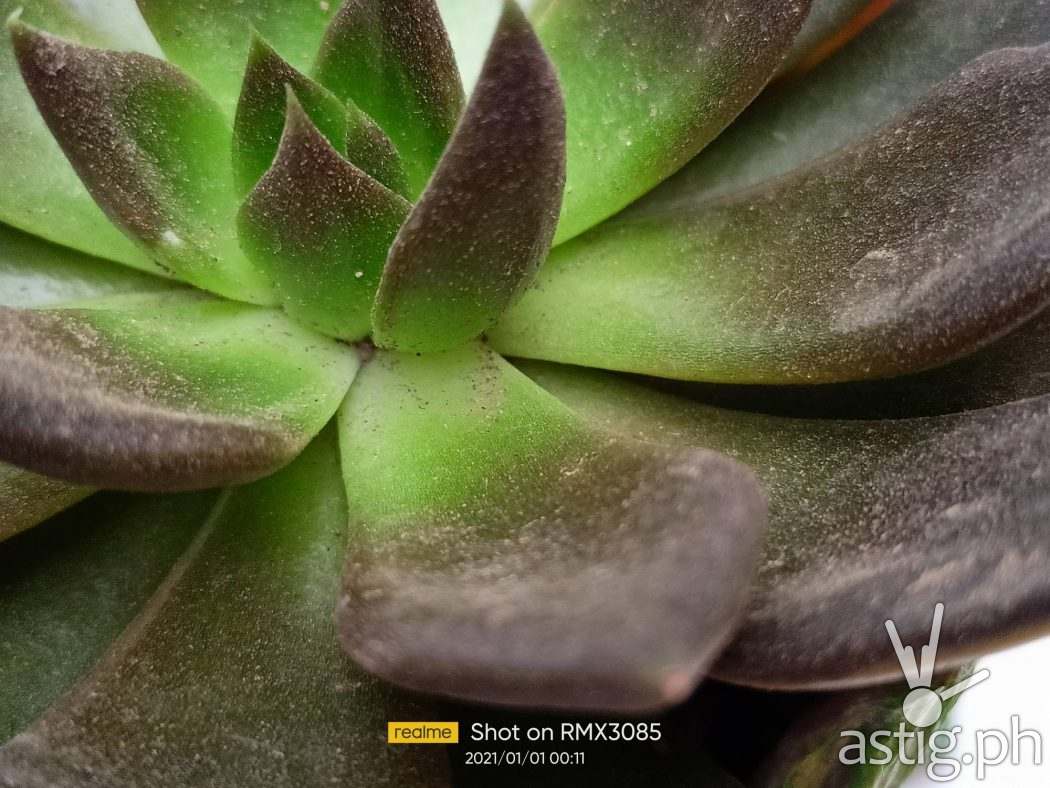 2x close-up - realme 8 sample photo