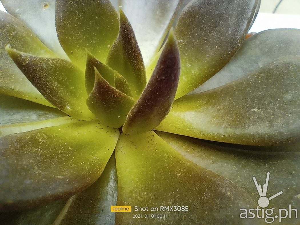 Ultra macro - realme 8 sample photo