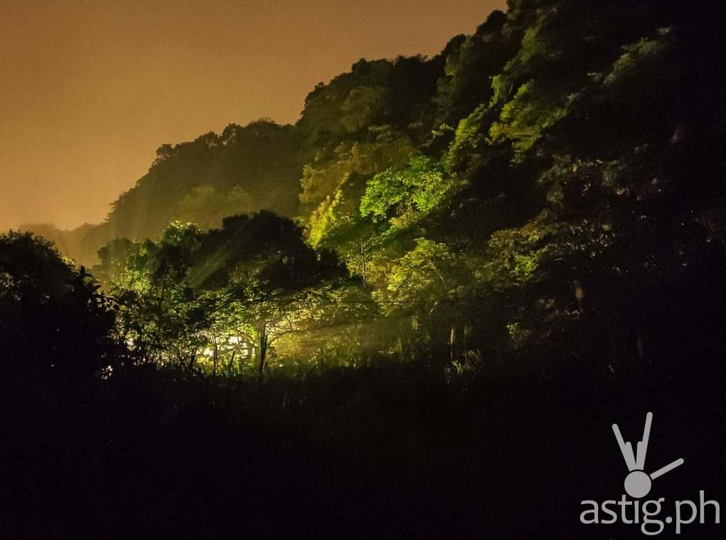 Zenfone 8 sample photo