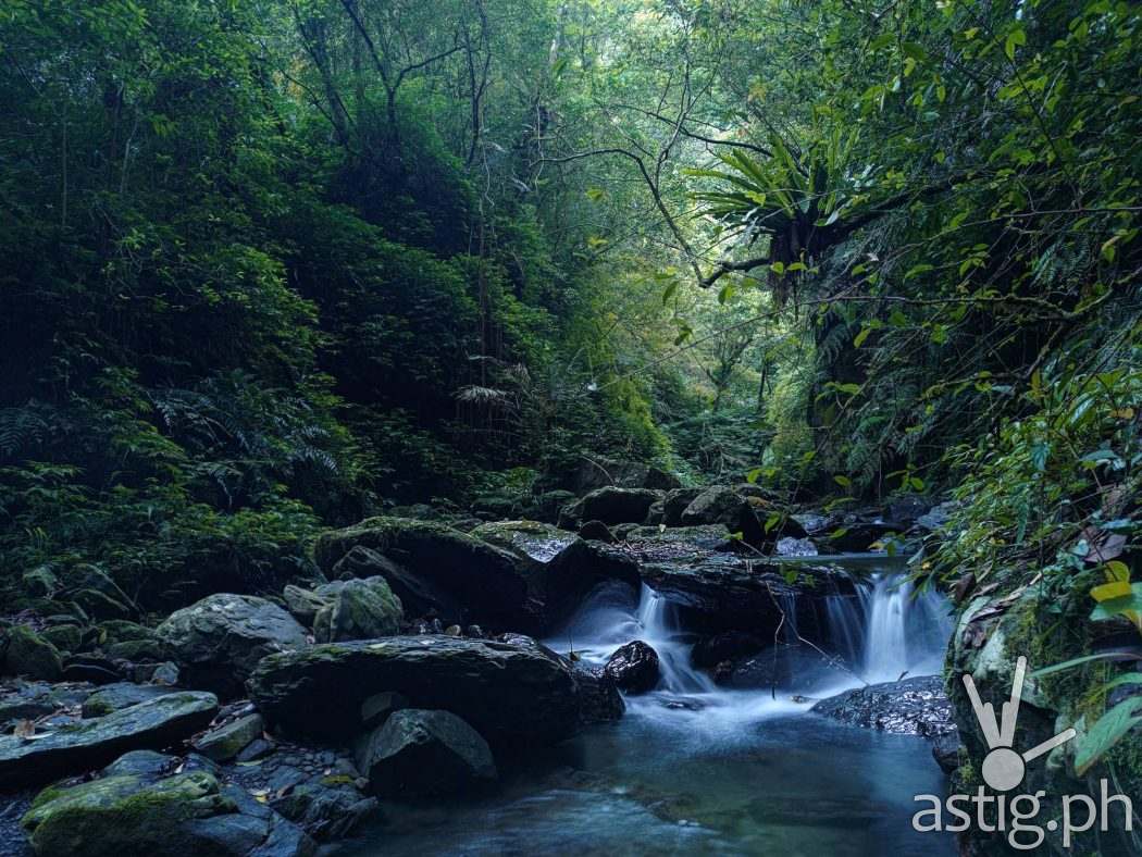 Zenfone 8 sample photo